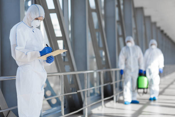 Best Basement Mold Removal  in Singac, NJ