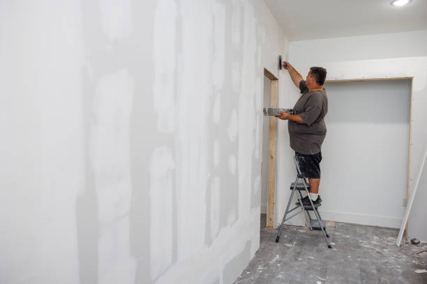 Forensic Mold Investigation in Singac, NJ