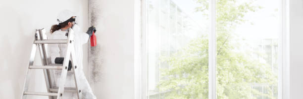 Best Comprehensive Air Testing for Mold Contaminants  in Singac, NJ